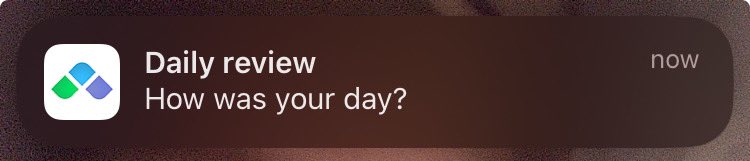 auggie ⋆ ˚｡ 🐾🦴 tweet media