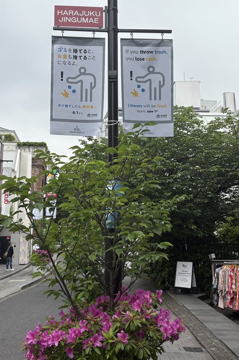 Edward Scheckler JK1BIB/AC9XE tweet media