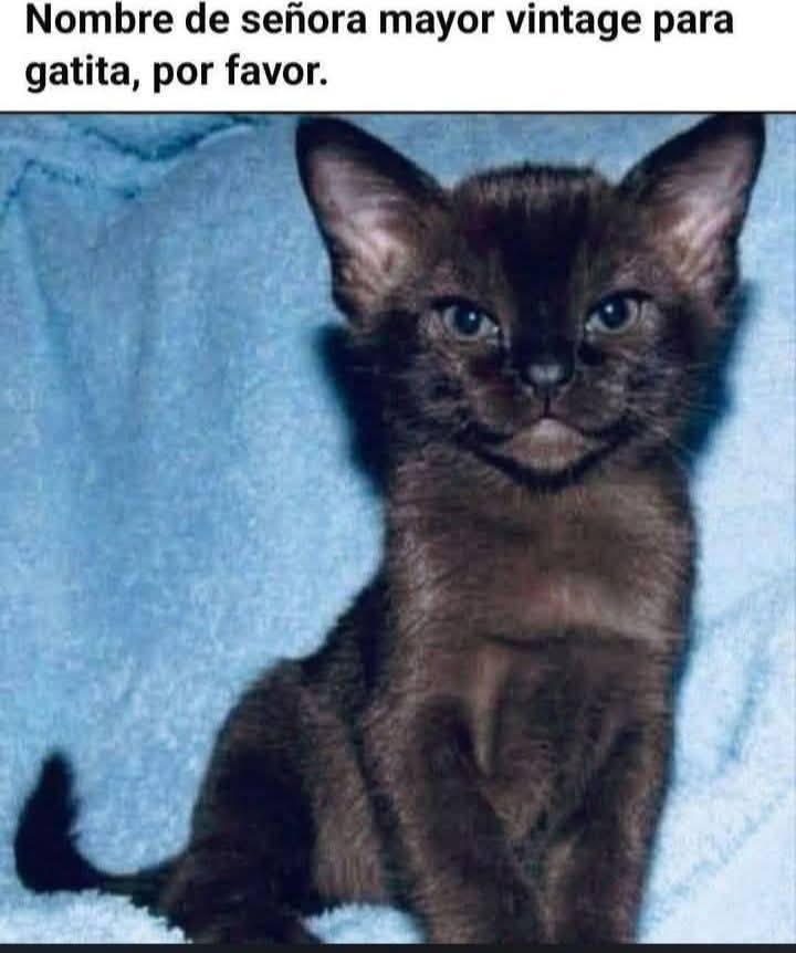 Manu Saenz💛💛 tweet media