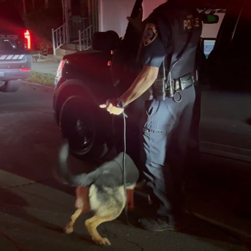 Fairfield Police, CT tweet media