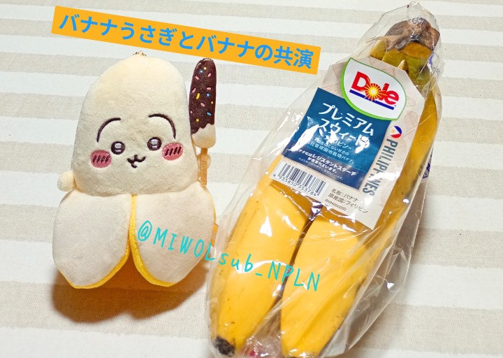 ミヲル tweet media