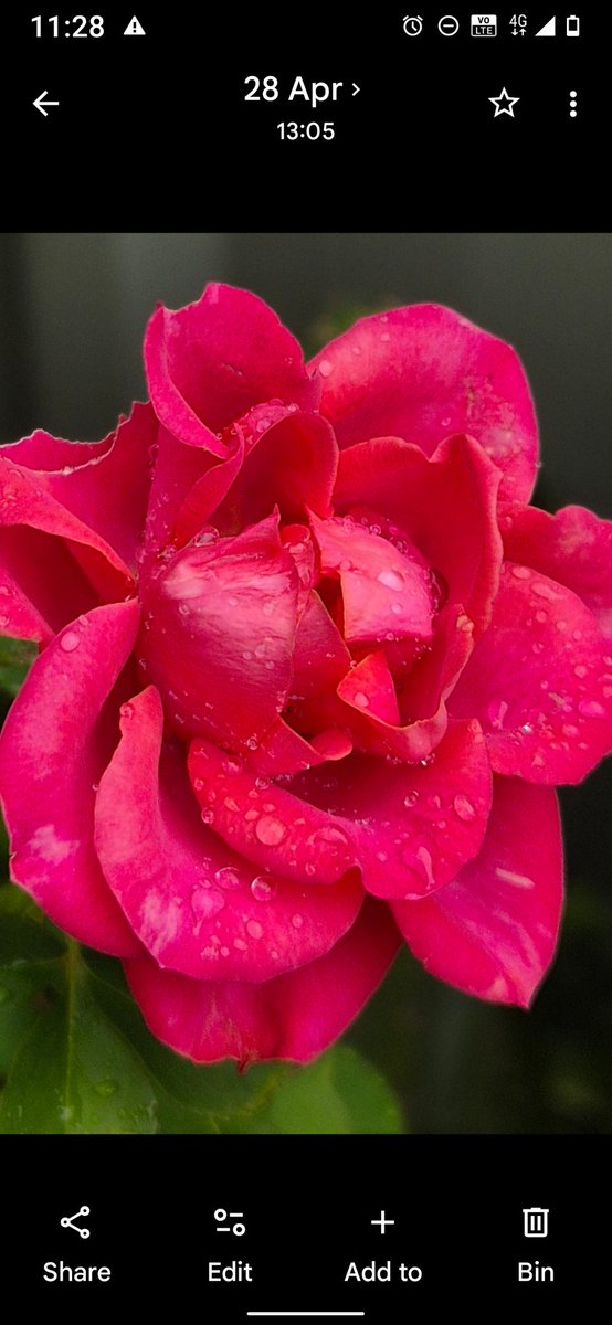 Tess Quadra🔨NO DM🔨 LXXIII tweet media