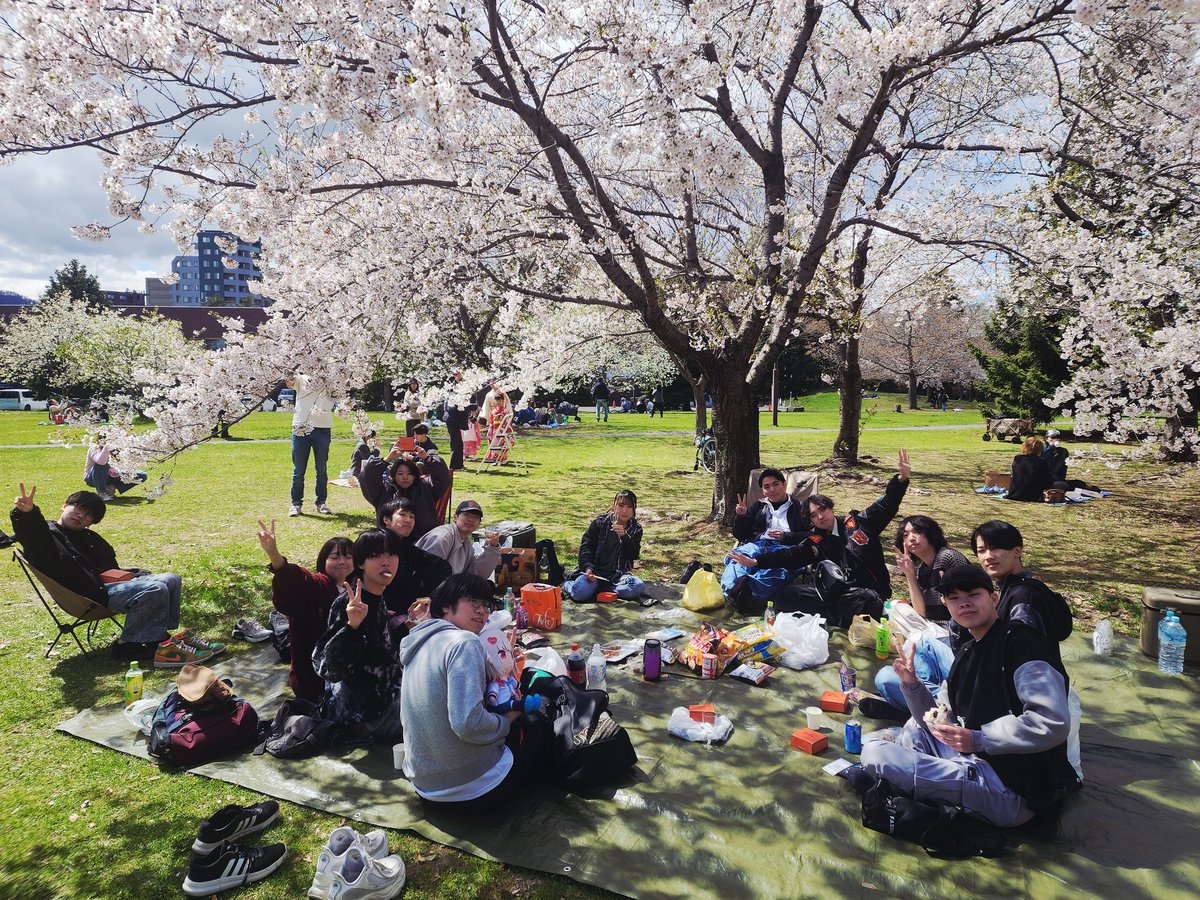 mitsutaka's tweet photo. 念願の花見だ〜🌸🌸🌸 https://t.co/gqO2YnIOXg