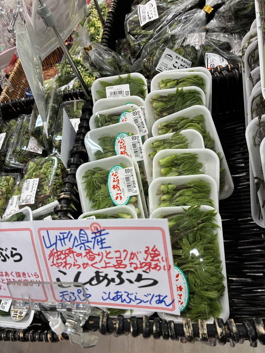yoshiike_group's tweet photo. 天然の山菜いろいろ祭り

今しか食べられない　
　　　　旬の味

B IＦ　野菜コーナーにて‼️

天ぷら　煮物　炒め物
おひたし　山菜いろいろ飯
山菜いろいろおにぎり
などなど　
ファミリーでお楽しみください https://t.co/9B9z0Dk7QZ
