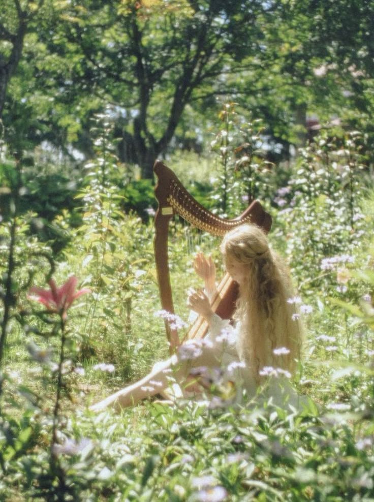 🍃🕊️ tweet media