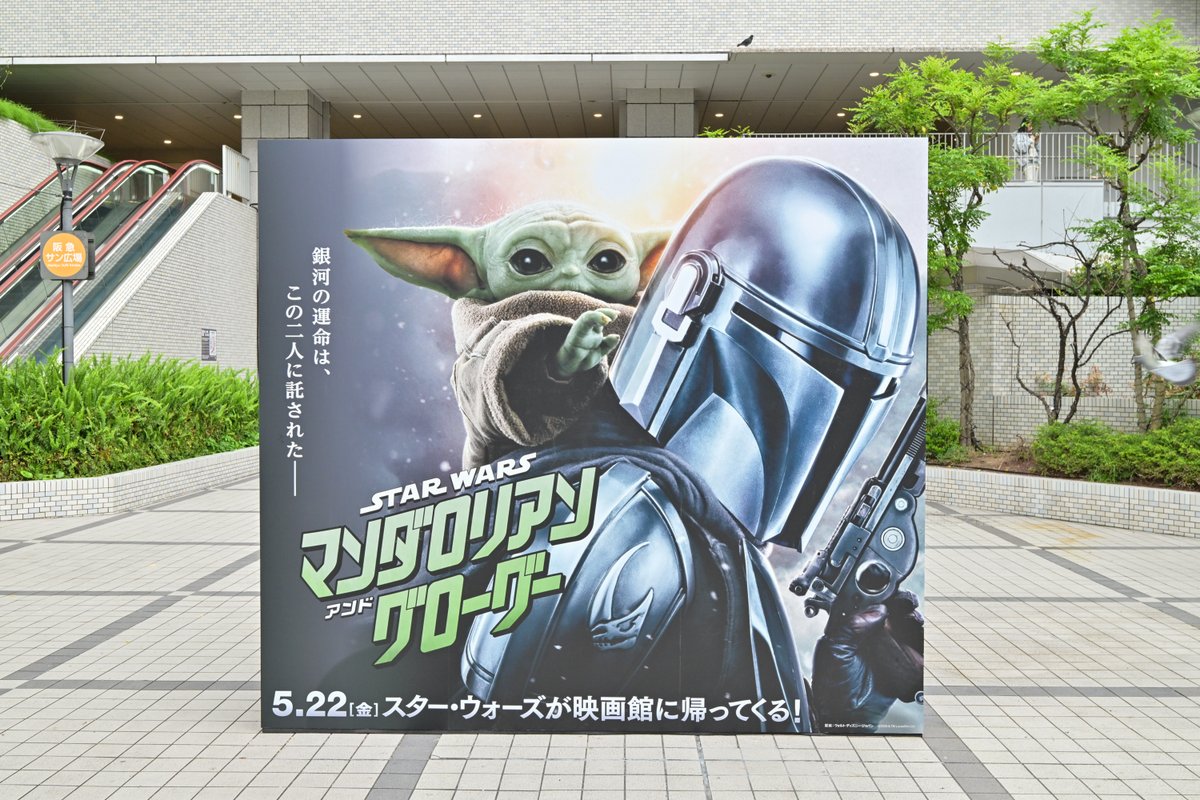 𝗦𝗧𝗔𝗥 𝗪𝗔𝗥𝗦 𝗗𝗔𝗬 𝗢𝗦𝗔𝗞𝗔 𝟮𝟬𝟮𝟲開催に合わせて 大阪の