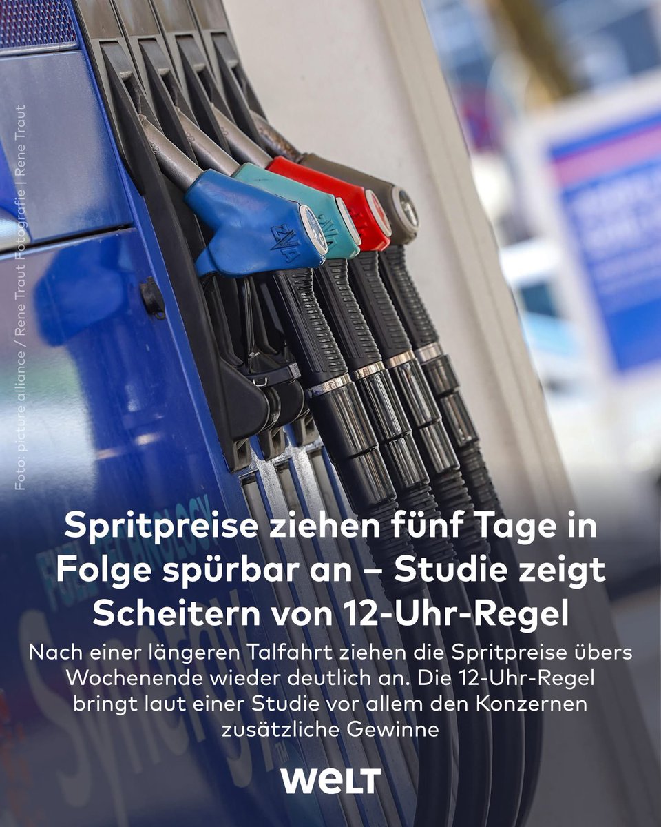 Steffienchen tweet media