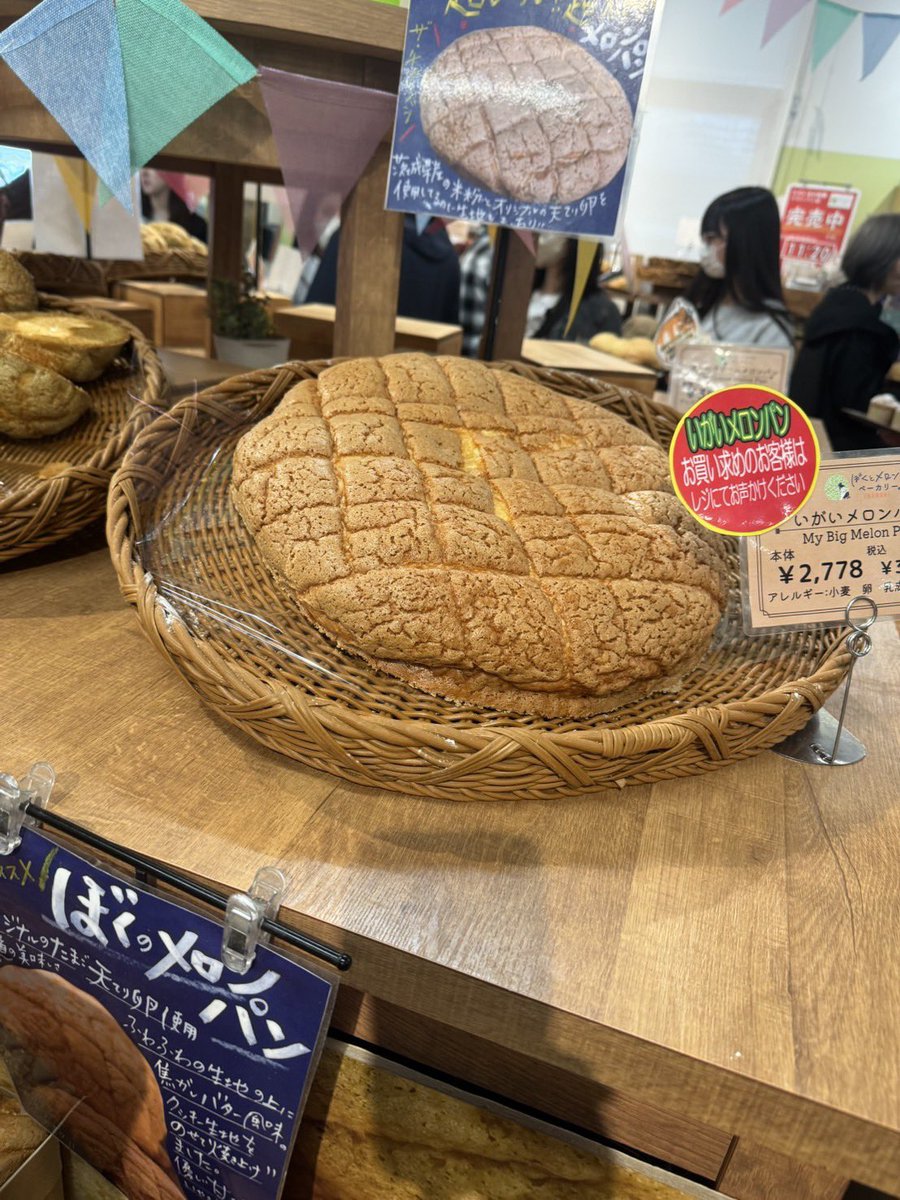 Toshi Maru tweet media