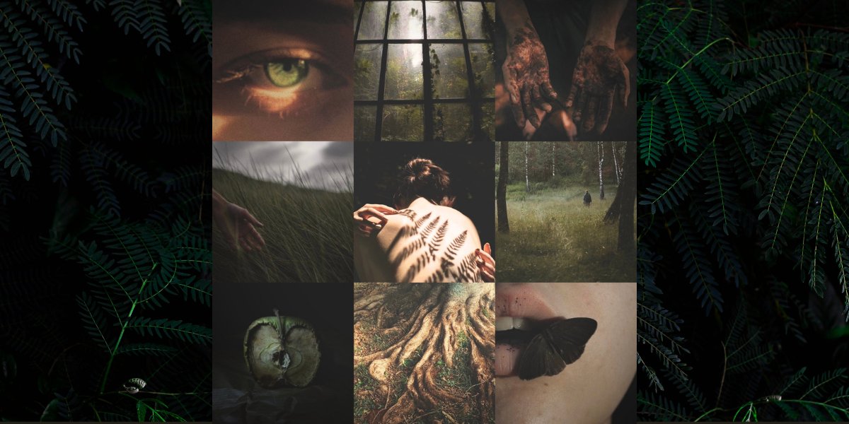 Caroline is querying 🌱 tweet media