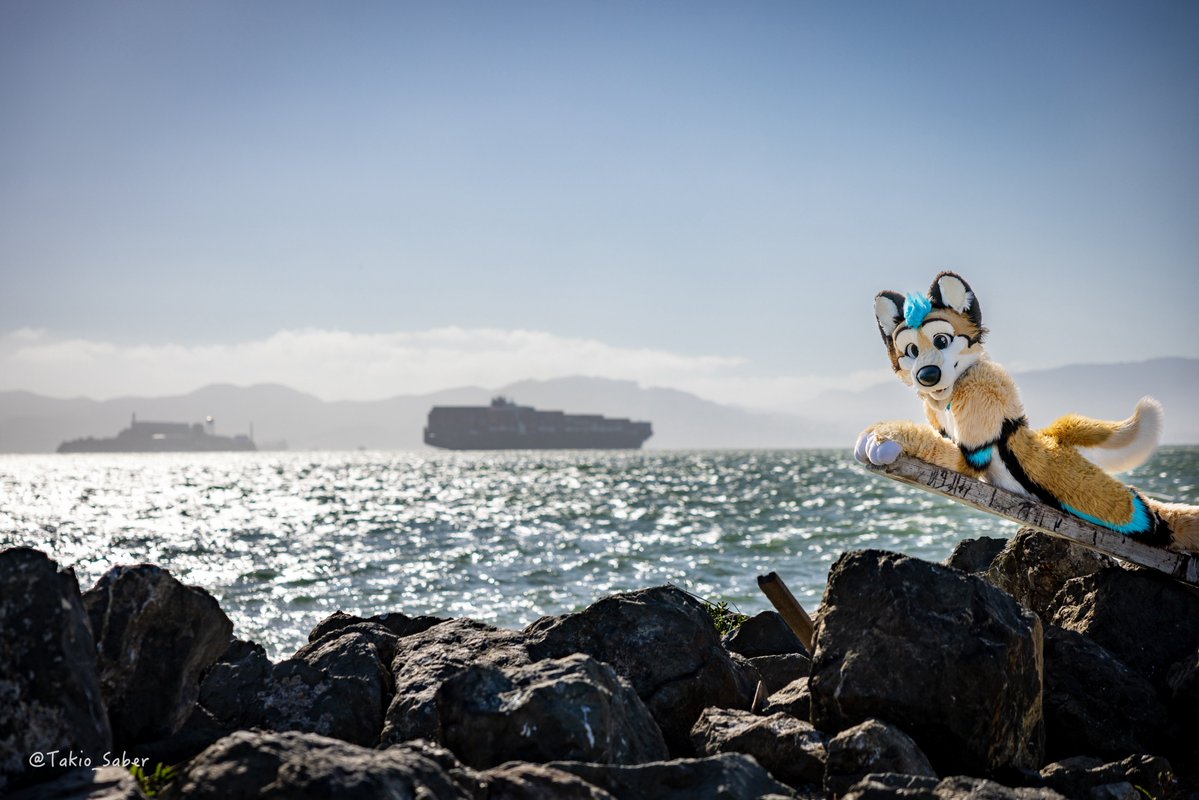 MacroPlasticEnjoyer 🔜 FWA tweet media