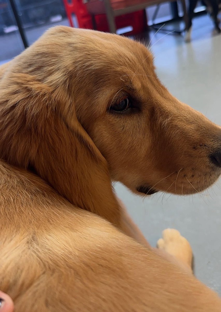 ro 𝜗𝜚 tweet media