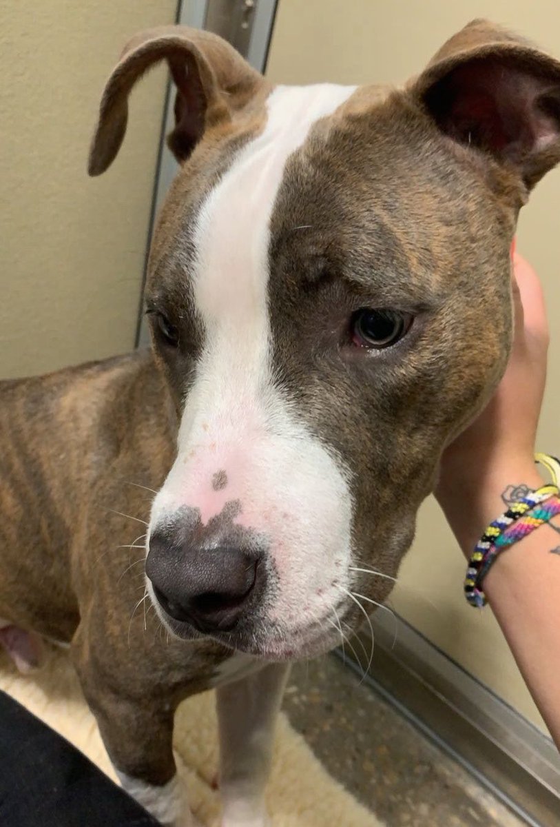 ro 𝜗𝜚 tweet media