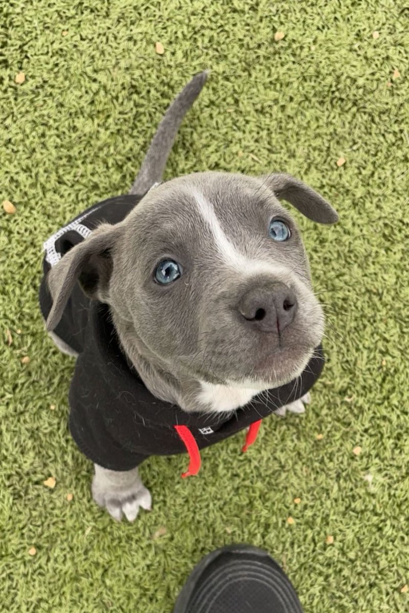 ro 𝜗𝜚 tweet media