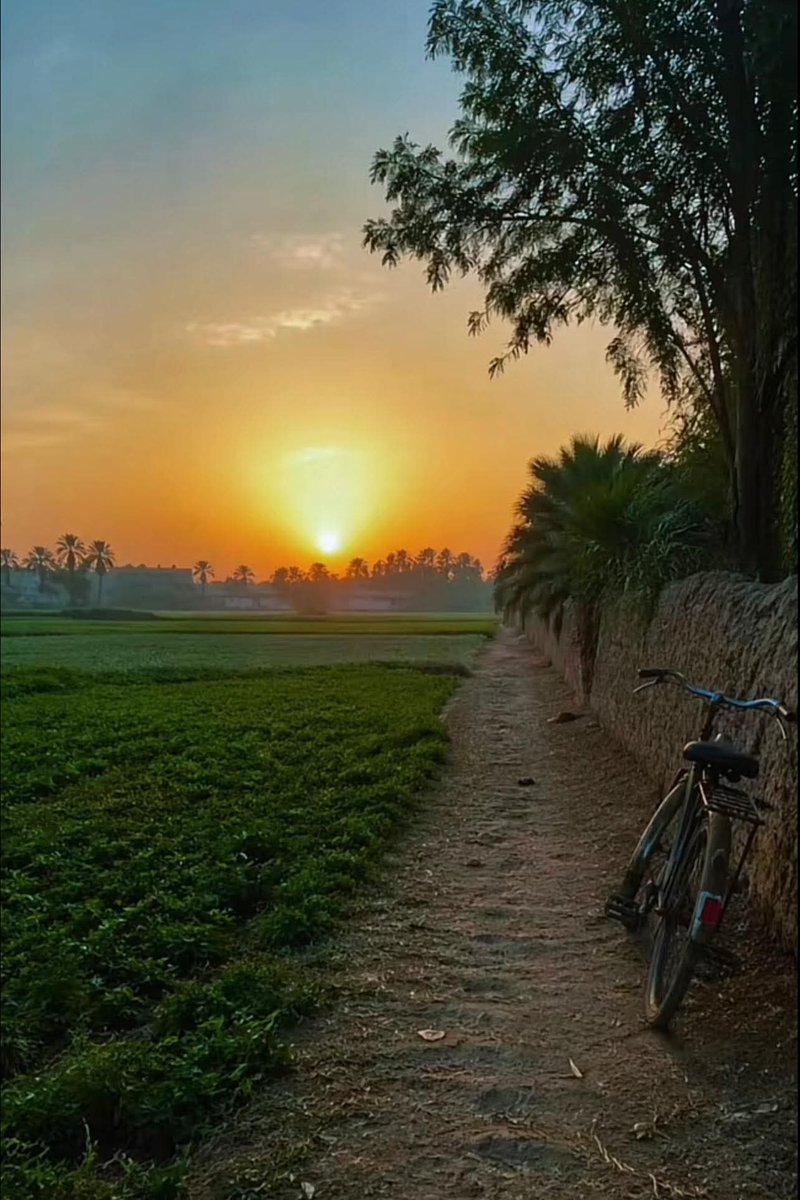 انسان بسيط.. 🌺 H 🌺.. tweet media