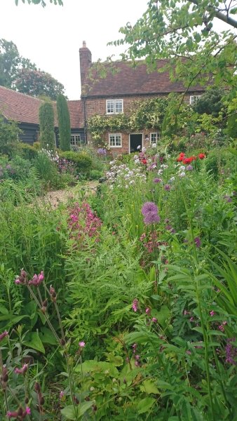 HertfordshirNGS's tweet photo. 🐝Stunning Rustling End Cottage in #Codicote opens Wed 13th 2-5pm &amp; Fri 15th 5.30-8pm. You don't want to miss this beautiful garden planted with nature in mind with meadow, pond, lumpy hedges and contemporary drought-tolerant planting. Plants for sale!
👉https://t.co/TiSbbPozMn https://t.co/8gtOYKwbj8