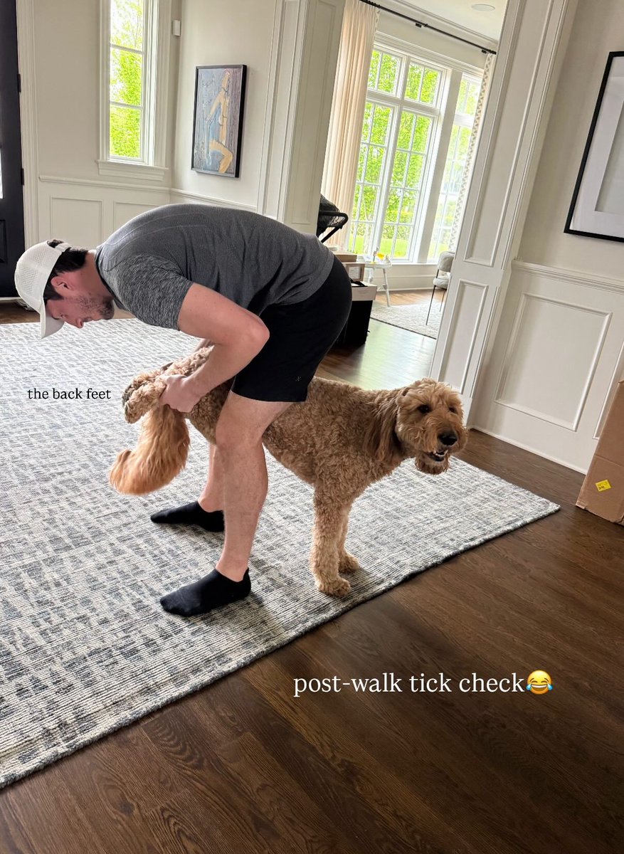 DailyWerenski's tweet photo. https://t.co/mtlstoALJa