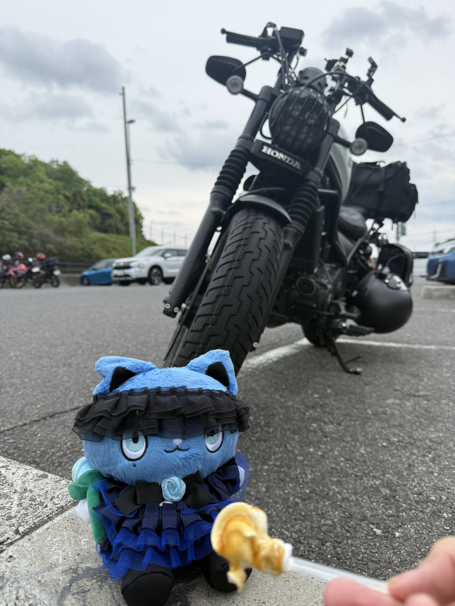 ジビー🥀 tweet media