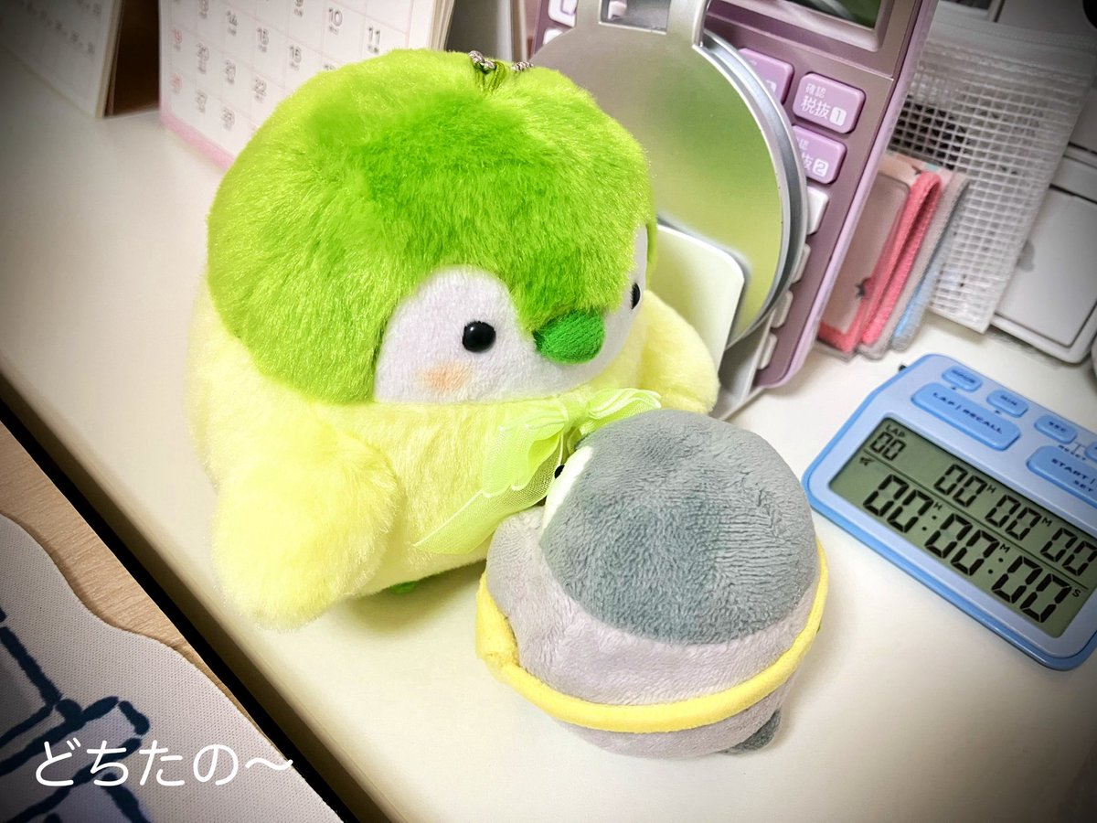 もふわんわん tweet media
