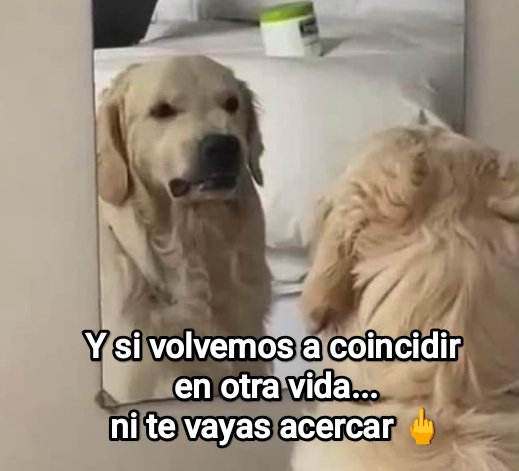 Cap Briagowsky tweet media