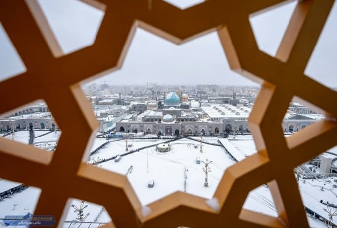 منیژه سادات حسینی tweet media