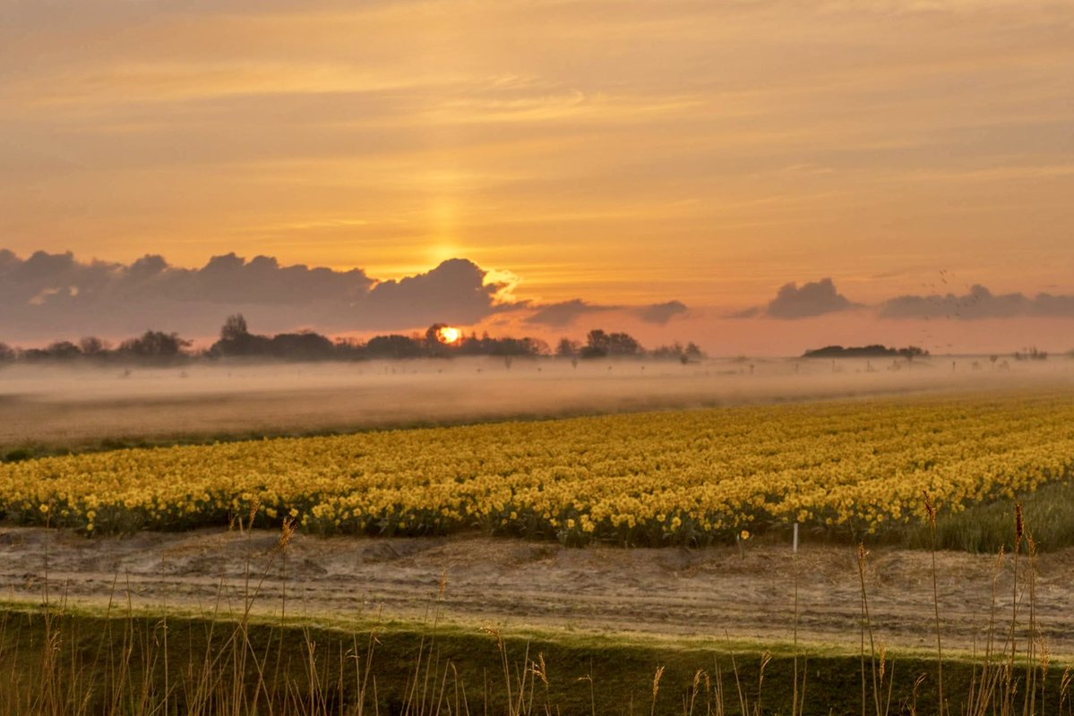 Ⓜ️arcel ☺️ tweet media