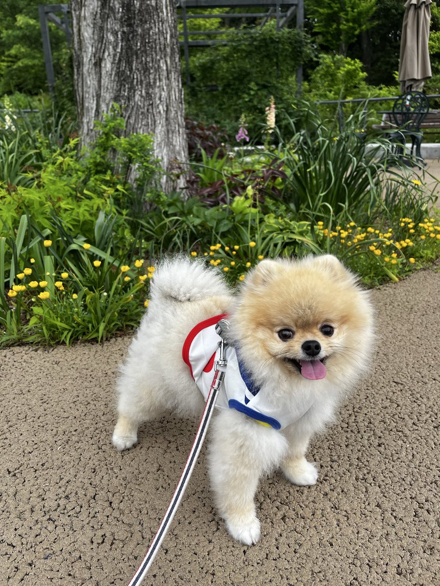 あきママ tweet media