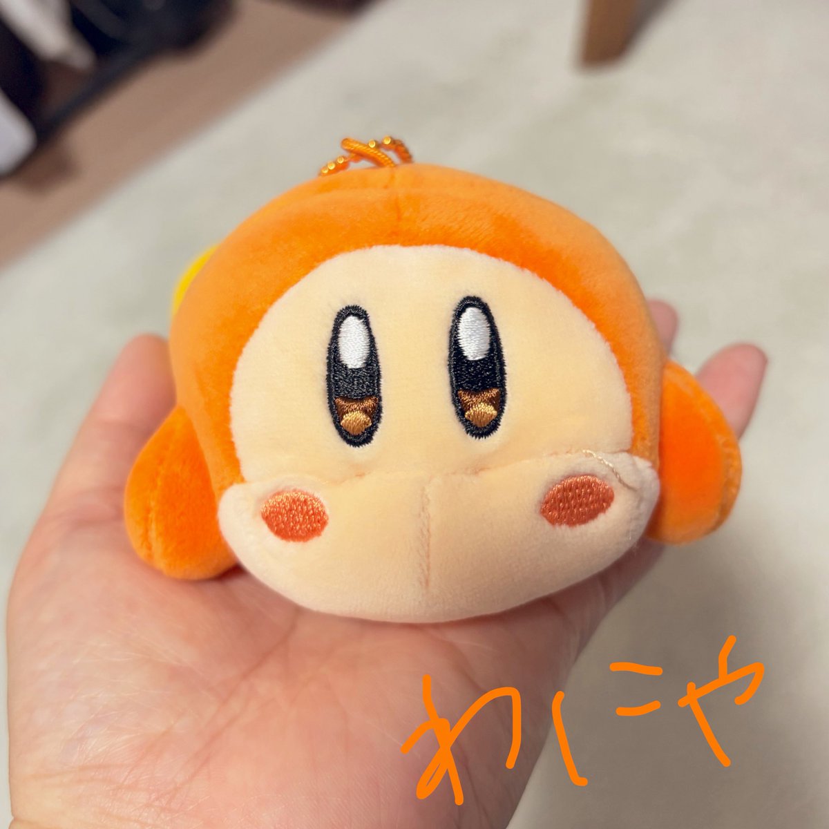 わにゃを見る時、わにゃもまたこちらを見ているのだ