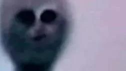 Chomp™ tweet media