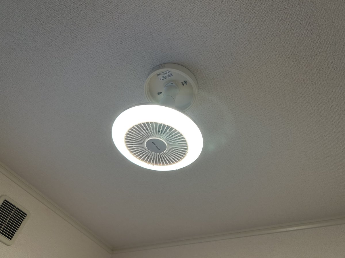 とばっち(公式) tweet media