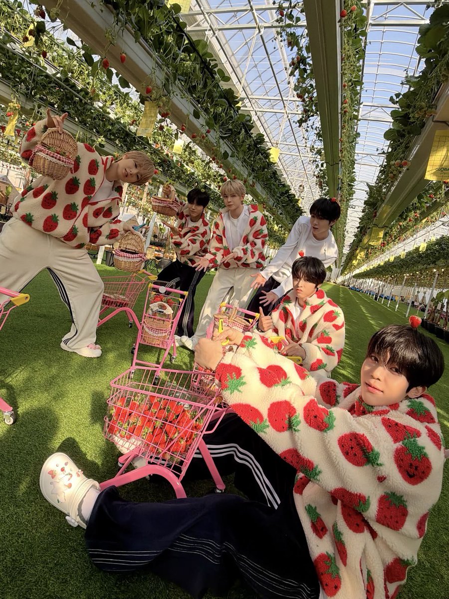 Sakuchang. tweet media