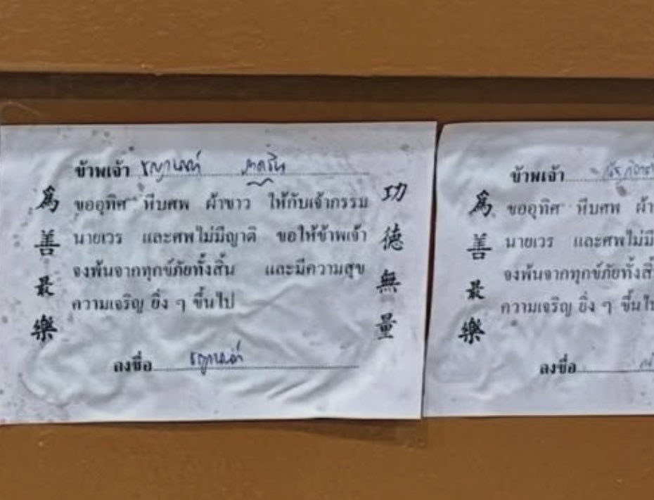 ทอนอบัส✨ tweet media