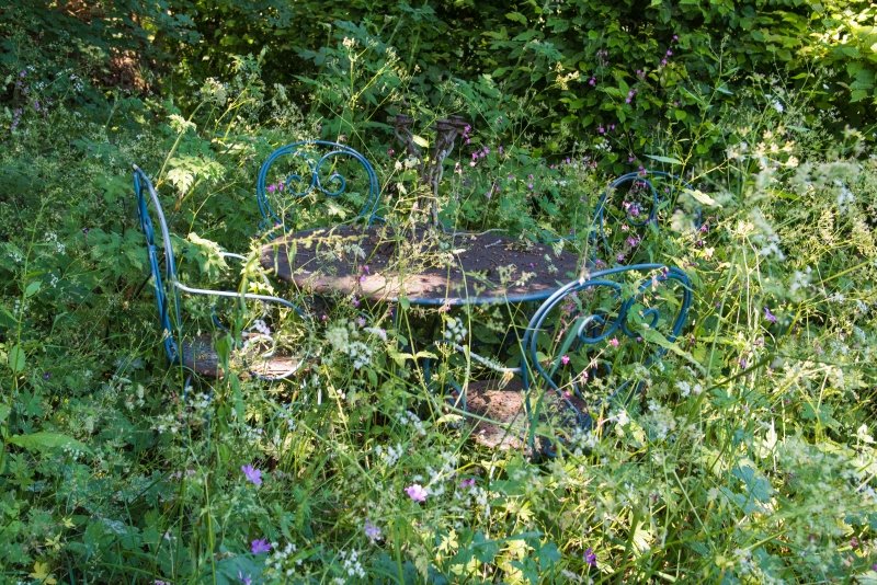 HertfordshirNGS's tweet photo. 🐝Stunning Rustling End Cottage in #Codicote opens this evening 5.30-8pm. You don't want to miss this beautiful garden planted with nature in mind with meadow, pond, lumpy hedges and contemporary drought-tolerant planting. Plants for sale!
👉https://t.co/TiSbbPozMn https://t.co/eQsNuEjcZS