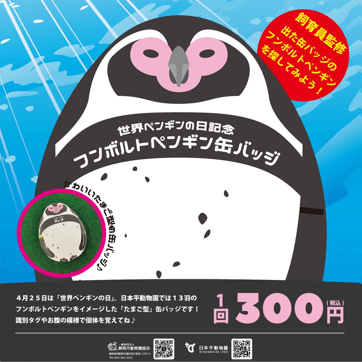 先日の4月25日は「#世界ペンギンの日」でした。 日本平動物園では現在