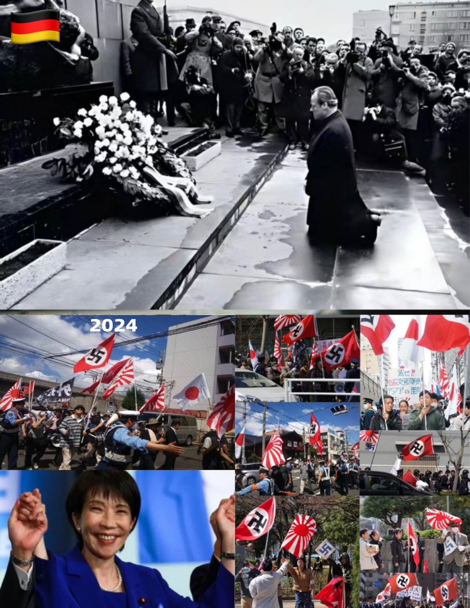 popo cat tweet media