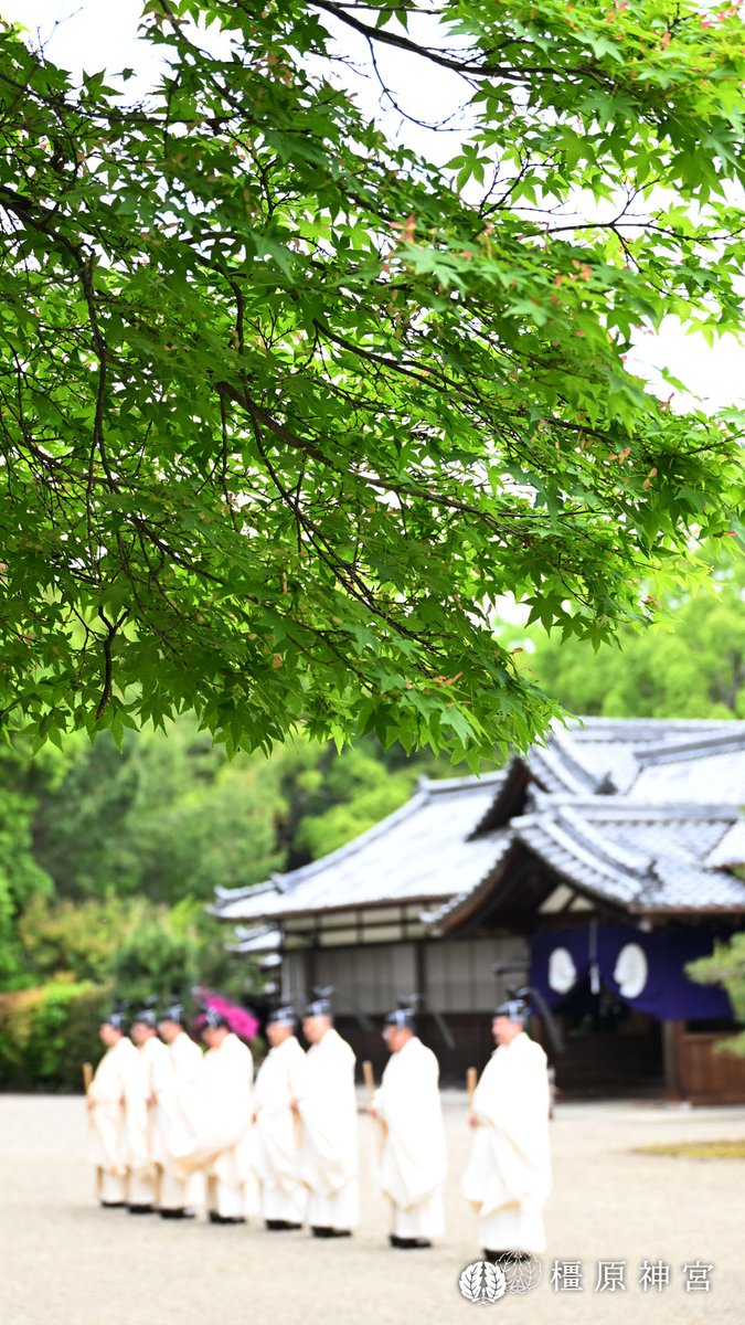 kashihara_jingu's tweet photo. 4/29(水 #昭和の日）11時より橿原神宮において「昭和祭」を斎行致しました。

昭和天皇誕生日にあたる4/29に、昭和天皇の御聖徳をお称え申し上げる祭典です。

祭典では祝詞奏上に続き、神楽 #浦安の舞 が奉奏され、皇室の弥栄と国家の安泰を祈念致しました。 https://t.co/K75E6d3oiQ