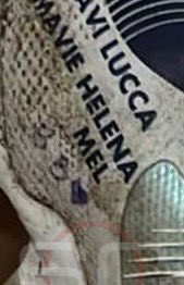 Bibica tweet media