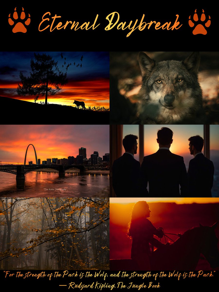 CrystalBAuthor's tweet image. Once Rejected, Twice Desired x Shifter Wars x The Wolf King x The Last Wolf

When Ainsley Ryans moved to Missouri to write she never expected to spark a civil war in an ancient shifter pack nor be caught between 3 men. How did this become her life?

#W #A #RF #QuestPit