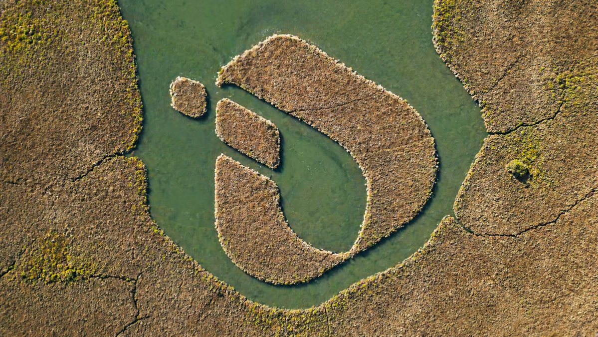 inter_link's tweet image. Where every step becomes a connection 🌐🌿
#InterLink #ITLG #ITL