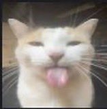 É O yuki QUE VAI VER A MARINA SENA// DE NOVO💥 tweet media