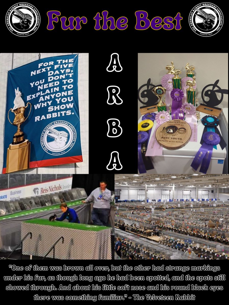 CrystalBAuthor's tweet image. Saucy x Treasured Horse Collection x The Beef Princess

Nicole Harisman is a 17 year old farm girl who's joy is showing rabbits. Follow her as she raises her rabbits and competes for the coveted title of Best in Show and ARBA Queen.

#W #YA #C #QuestPit