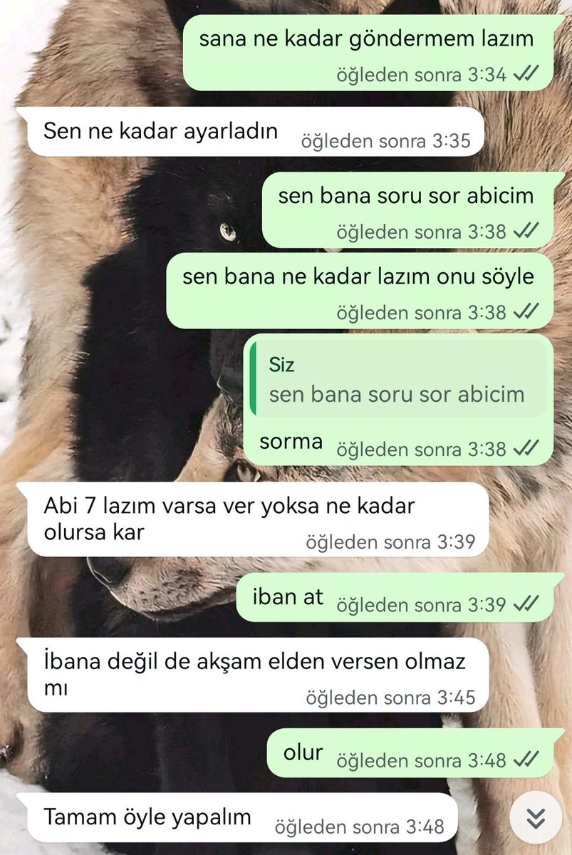 Sefa Levent tweet media