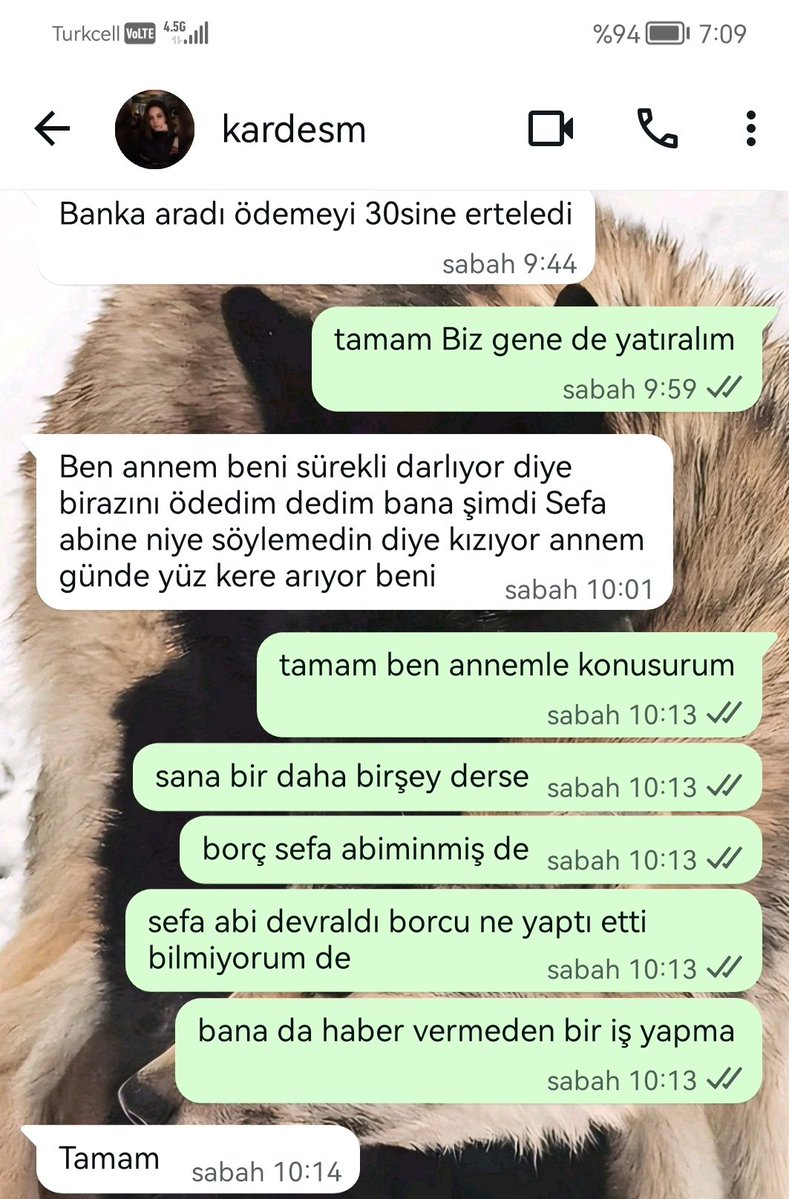 Sefa Levent tweet media