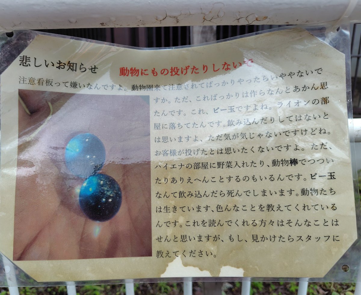 りんはる tweet media