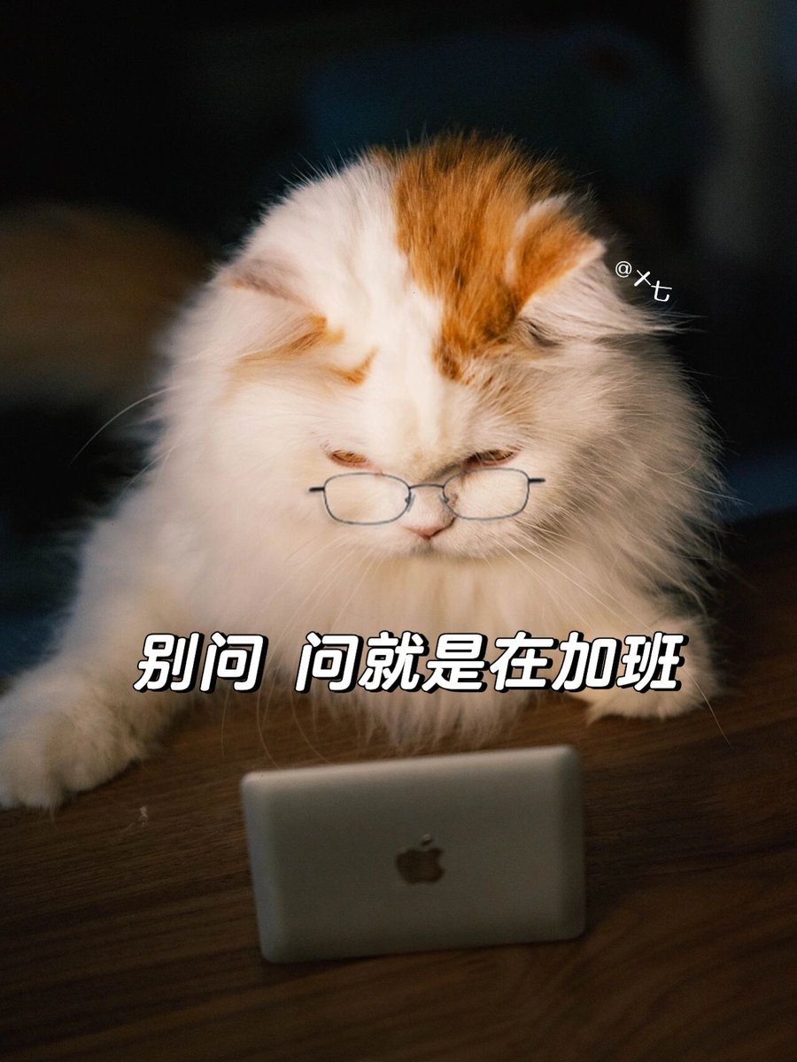 陳小弟 tweet media