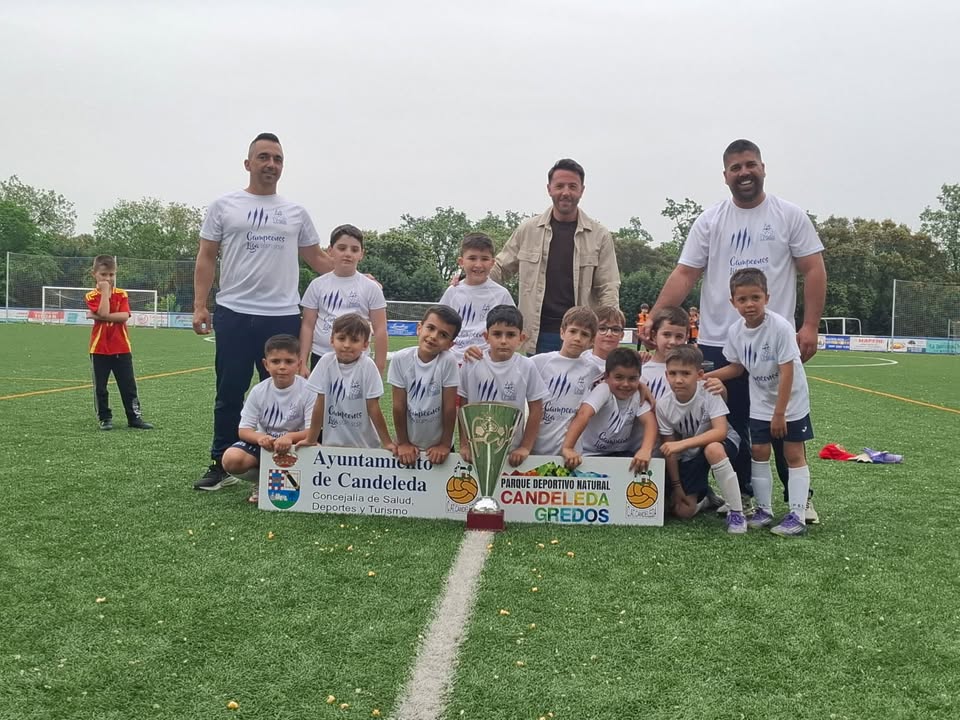 Deportes Ávila tweet media