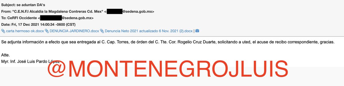 José Luis Montenegro tweet media