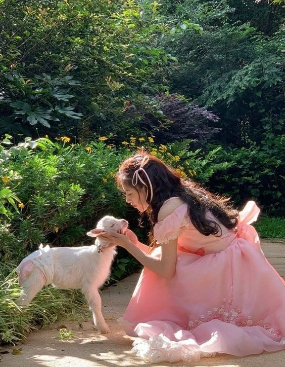 🍃🕊️ tweet media