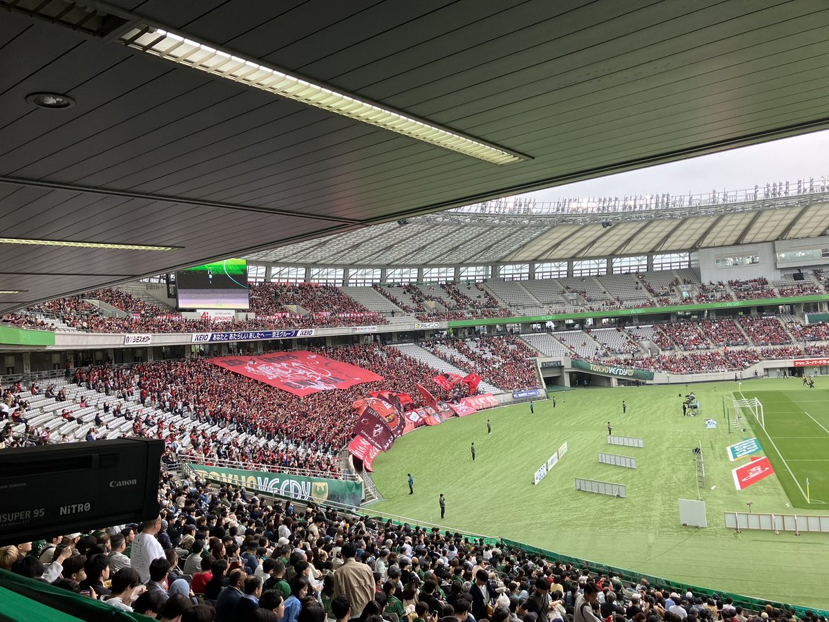 トゥーレ tweet media