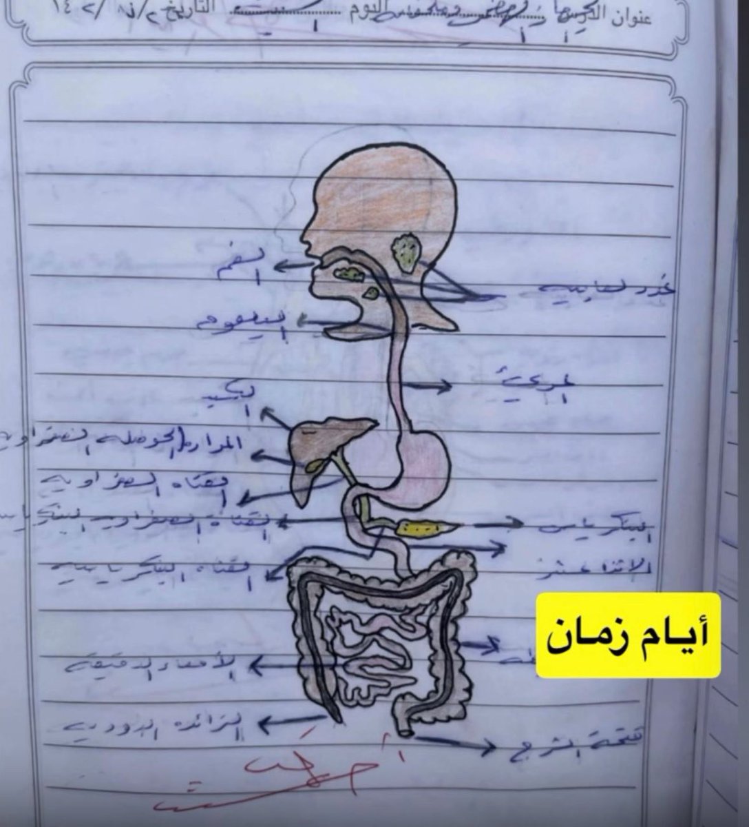 احدى واجباتنا المدرسية 
صورة لن يعرفها إلا الطيبين ..💔