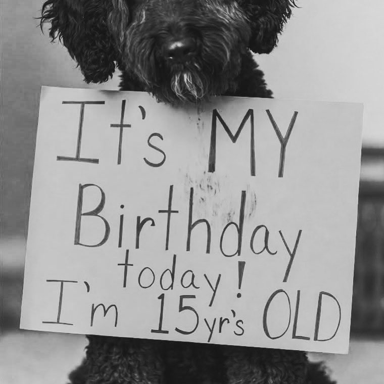 ITucker22022's tweet image. #phillycamtv #retrorapmusicschool #kids #cops #bikinipoolgirls Well, 27, but you get my point.